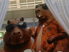 -四海一家自助餐(益田假日广场店)