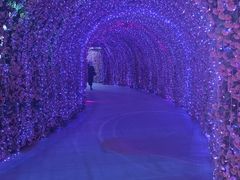 -牛啤堂精酿啤酒餐吧(五棵松华熙店)
