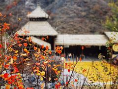 -周口店坡峰岭风景区