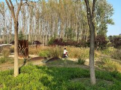 -东郊湿地公园