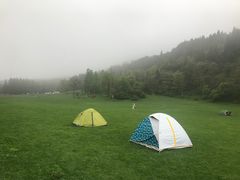 -武陵山森林公园