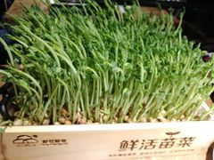 -七欣天香辣蟹火锅(无锡金太湖国际城店)