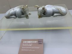 -邹城博物馆