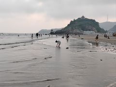 -大鹿岛
