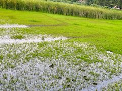 -丽江泸沽湖景区