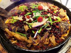 -老板恋上鱼(恒隆广场店)