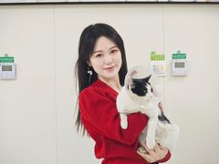 -美联众合爱康动物医院•复杂内科•肿瘤科•牙科•腔镜诊疗中心