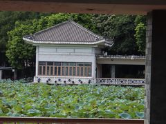 -荔湾湖公园