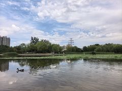 -太阳宫公园