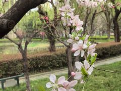 -木塔寺遗址生态公园
