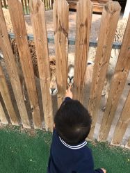 -萌宠亲子动物乐园(槐房万达店)