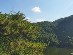-鼎湖山风景区