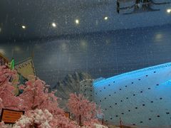 -广州热雪奇迹
