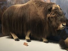 -陕西自然博物馆