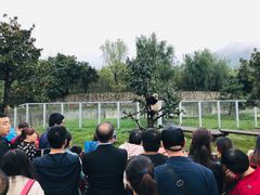 -西安秦岭野生动物园