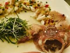 东星斑-朱仔记食府(江南大道店)