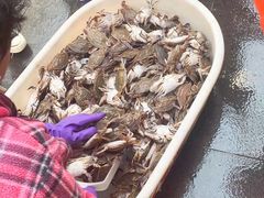 -芦潮港集贸市场