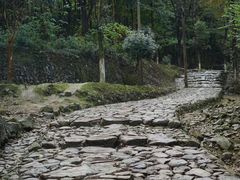 -仙霞关景区