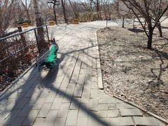 -北京麋鹿生态实验中心