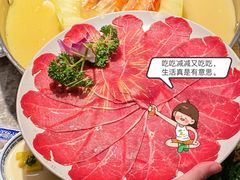 -禄婶鸡煲·打边炉