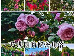-太阳宫公园