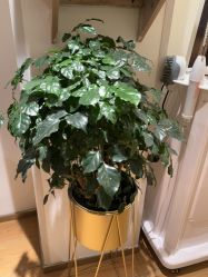 -LJOY丽锦造型·烫发染发