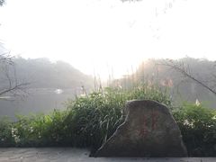 -重庆彩云湖湿地公园