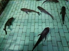 -长春农博园