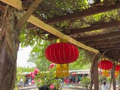 -同銮特种养殖场·龙虾垂钓