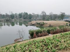 -桤木河湿地公园