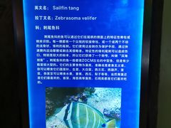 -福州罗源湾海洋世界旅游区
