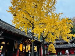 -成都市文殊院