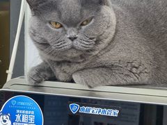 -中农大我爱我爱动物医院·核磁CT·猫病·24小时夜诊中心(石佛营店)