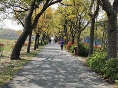 -上海长兴岛郊野公园