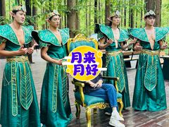 -黄海国家森林公园