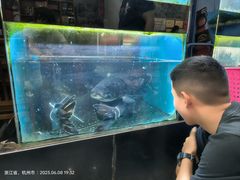 -全乐鱼馆·淳牌有机鱼直营店