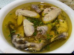 -呼吸森林·生态农庄农家乐私房菜