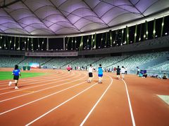 -深圳市宝安体育中心体育场