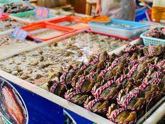 -南沙十九涌渔人码头-南门