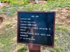 -海棠花溪(元大都城垣遗址公园)