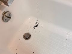 -澳门皇庭海景酒店