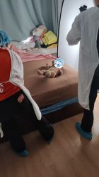 点击看大图 -玛瑞莎孕婴童摄影到家拍