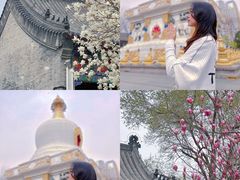 -护国法轮寺