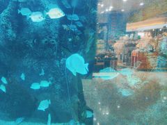 -鸿通城购物中心