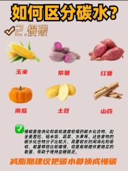 -Fundi张玉珊修身堂·indiba·BTL科技瘦身