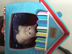 自由人影城-自由人影城(大庆唐人中心店)