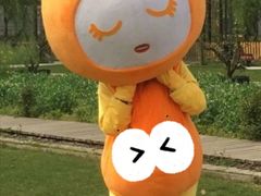 -前小桔亲子创意农场·草莓采摘·露营烧烤