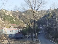 -老张烤羊(王哥庄店)
