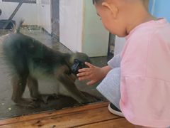 -西安秦岭野生动物园