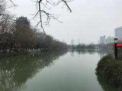 -浮庄